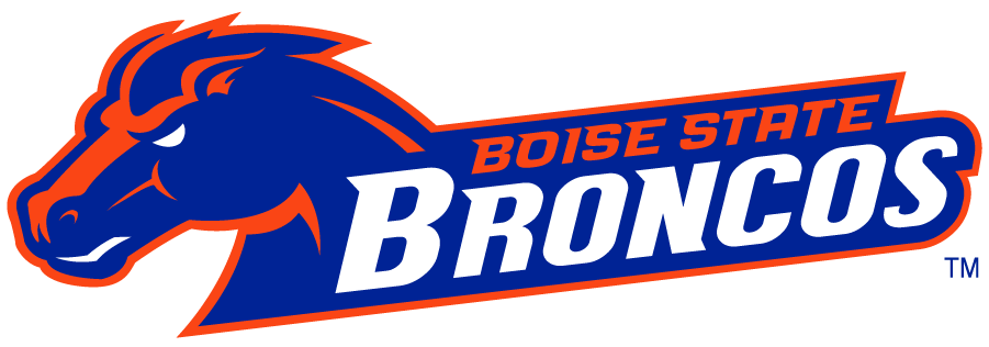 Boise State Broncos 2002-2012 Secondary Logo v2 diy DTF decal sticker